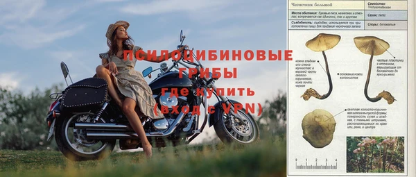 таблы Сосновый Бор