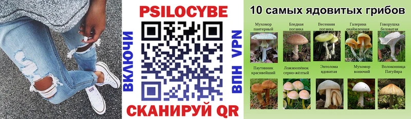 Псилоцибиновые грибы ЛСД  Хилок 